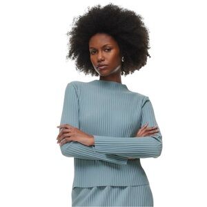 Aritzia Babaton Advocate Blouse